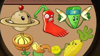 رسوم متحركة صغيرة للنباتات
