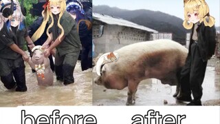 【蕾尔娜Leona】小光长成大猪了，可以宰了当年货了