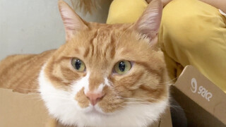 Danjuan: Kadang-kadang aku benar-benar merasa tak berdaya...