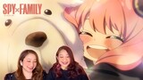 CUTENESS OVERLOAD | SPY x FAMILY - Episode 15 | Reaction