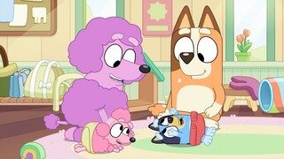 Bluey Dub Indo - Baby Race - S2 E50