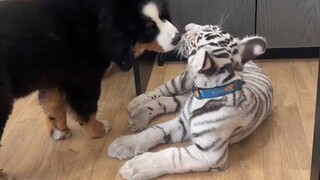 I think this is a bit too ambiguous.