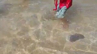 bermain di pantai bersama anak anak