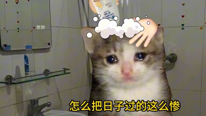 小小的老子到底哪步路走错了