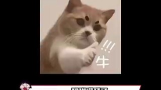 Đừng bao giờ rơi vào cái bẫy tự chứng minh sự hiếu thảo nhé