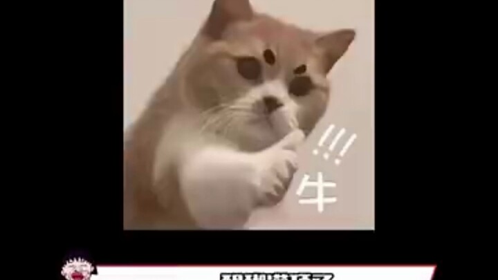 千万别陷入，孝顺自证的陷阱啊