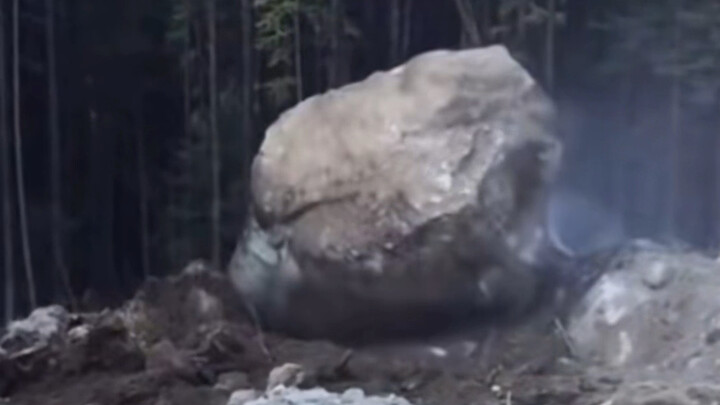 A rolling stone gathers no moss—it's incredibly powerful, even trees can't stop it.