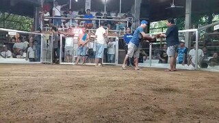 WiN Entry name TiGRE Ng DAVAO