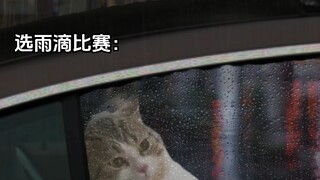 Did the raindrop you chose win? #RealisticRecreation #OutsidetheCarWindow #AgeofNoElectronics #Raind