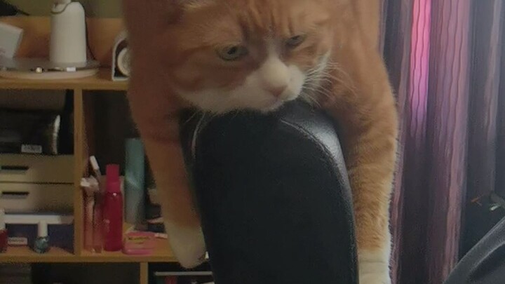 Dì Khương: Dùng phép thuật để đánh bại phép thuật!