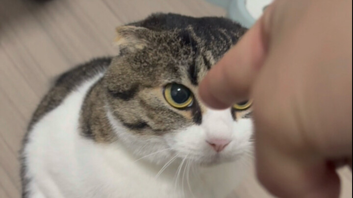 A few quick moves from Master Cuo before bed