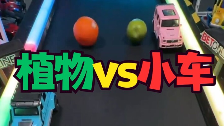 Who’s so bored as to watch plants vs. cars...? Who’d still dare bash Big Brother Watermelon now?