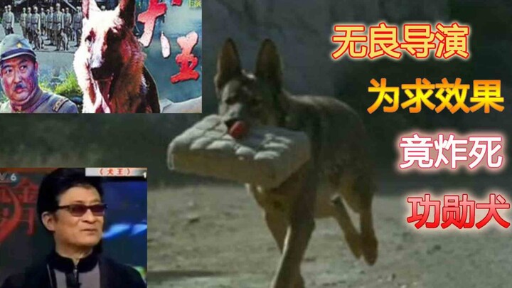 منافٍ للأخلاق! من أجل تأثيرات الفيلم، قام بتفجير كلب مُكافَح حتى الموت.. روّاد الإنترنت يطالبون بـ"ت