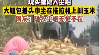 #现实版隐入尘烟 #大姐包着头巾坐在拖拉机上剥玉米