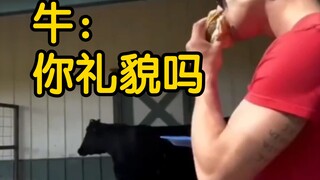Challenge: Eating Beef in Front of a Cow | Surfing Vocabulary 14