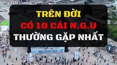 10 cái ngu thường nhất trên đời.