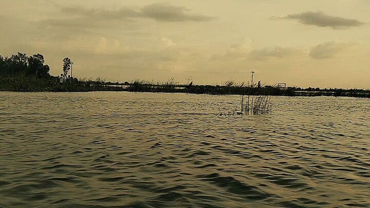 At the moment of an evening at Cholon Bill in Sirajganj