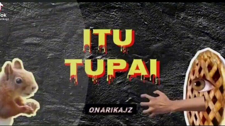Itu tupai. (meme) :v