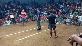 lost 2nd fight..new taytay