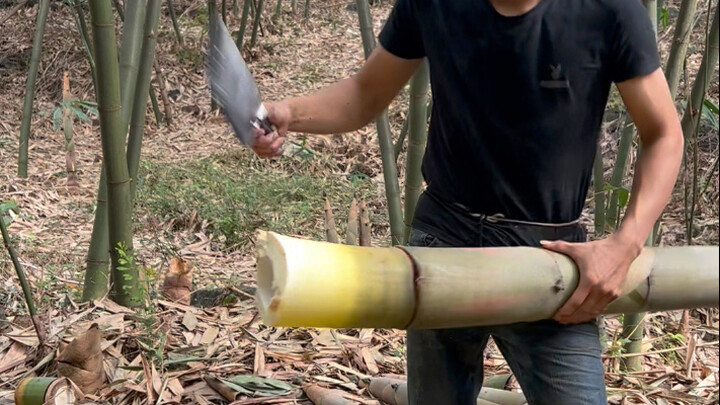 Membuatku kaget, Xiao Qingqing!