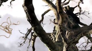 Peter and the wolf 2006 🇷🇺