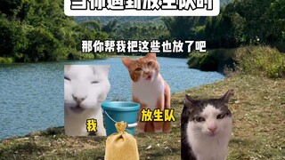เมื่อคุณพบกับทีมงานปล่อย