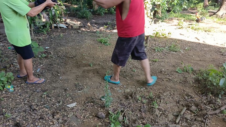 Sunday spar heavyweight straight sweater vs Peruvian muff