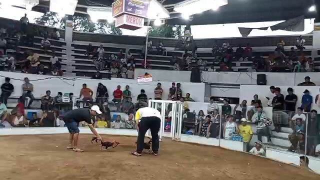 second fight sa tuhits ulutan champion
