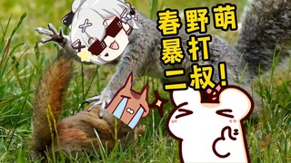 春野萌体型优势暴打老二叔！仓鼠太太现场围观！