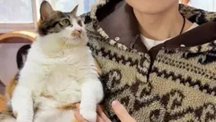 بعد أن التقطتُ قطةً