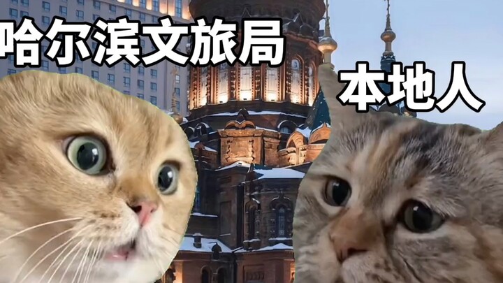 Kota Es dan Salju Harbin