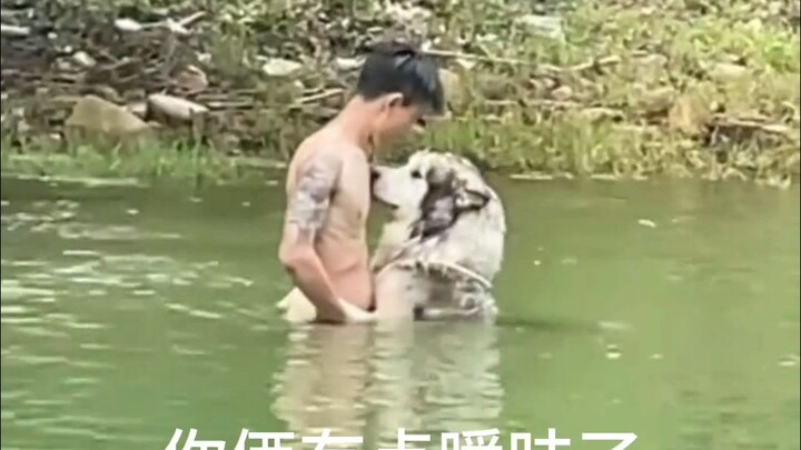 🐶：主人这么养我一定有他的道理