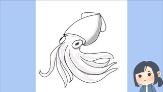 Gambar Cumi-cumi