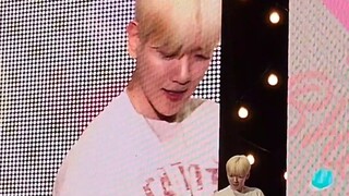 [Bian BaekHyun]EXO Random Dance (Bữa tiệc sinh nhật 230505)