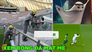 Nước chủ nhà World Cup Qatar vừa lắp điều hoà cho 8 SVĐ - Top comments Face Book.