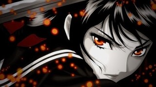 AMV Concerto of Vengeance