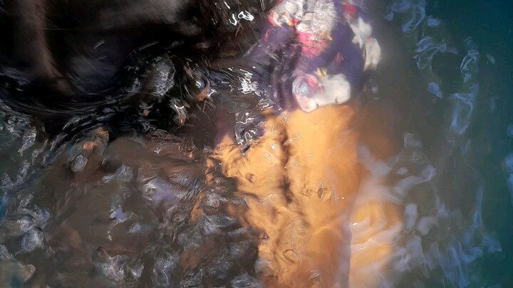 my putol swimming lesson