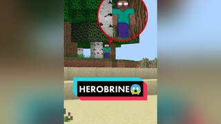 sponsored IDOL HEROBRINE😱 Gặp idol và cái kết😹 | TMC:  minecraft fyp xuhuong toanmc clownsmcteam theanh28