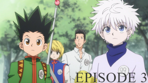 hunter x hunter 2011 season 2 english dub