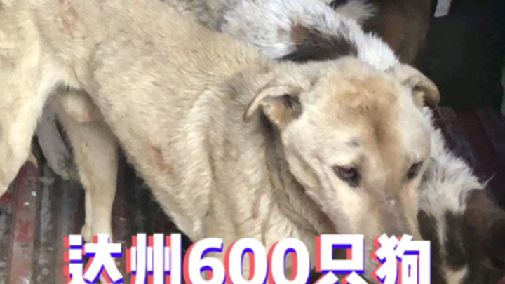 1:35 ไลฟ์สด ขอบคุณทุกคน…