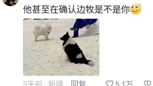 หาสุนัขนำทางให้ลูกสิ