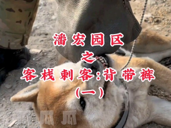 潘宏园区之客栈刺客：背带裤（一）