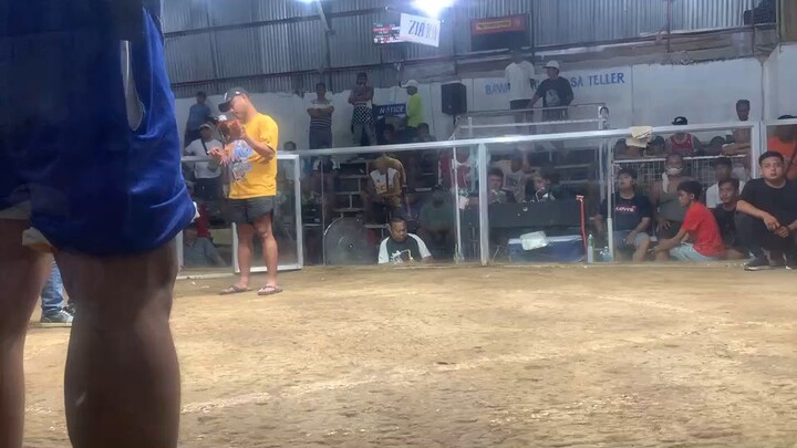 sweater x kelso win 👌