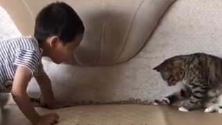 แมวของฉันออกไปเดินเล่นและถูกนำตัวส่งโรงพยาบาลสัตว์เพื่อทำหมัน