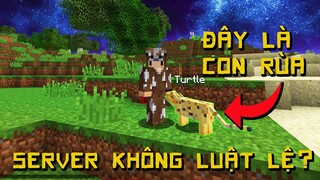 Minecraft Server Này Không Nên Tồn Tại Channy