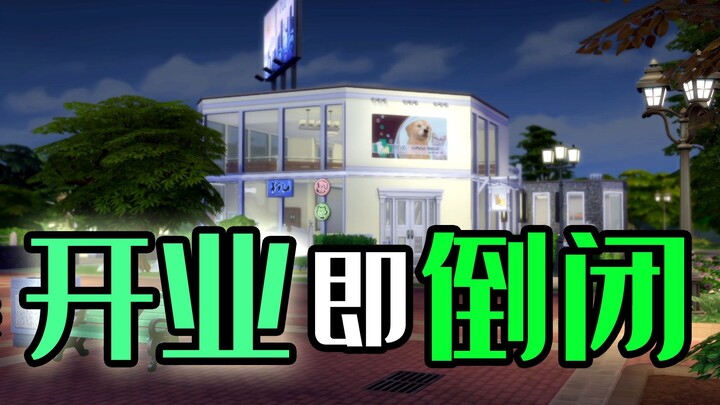 Xây một bệnh viện thú cưng có thể hiện thực hóa trong thế giới thực