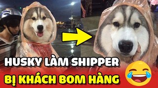 Cảm động Ngáo Husky làm SHIPPER thì bị khách BOM HÀNG ngồi khóc dưới mưa 😂 | Yêu Lu