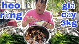 3kg heo rừng giả cầy Tâm Chè xử như thế nào..!? l Tâm Chè Vĩnh Long