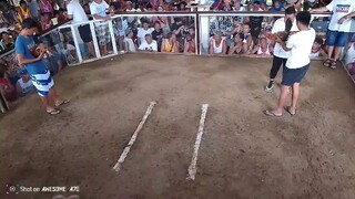 Hennie vs Pula (Draw)