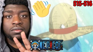 SEE YOU IN 2 YEARS!!!!! | One Piece Episodes 515-516 REACTION!!!!